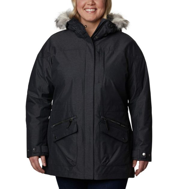 Women's Carson Pass Ic Jacket